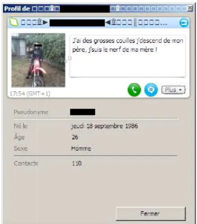 Figure 1. Le profil Skype du joueur 