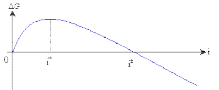 Figure 1 : Allure de la variation de l'enthalpie libre de formation d’un agrégat   en  fonction de sa taille i 