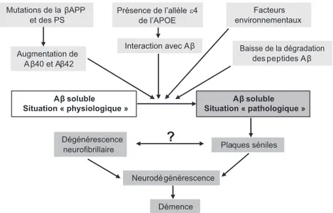 Figure 2.3 : Quelques facteurs affectant la production physiologique de peptide Aβ