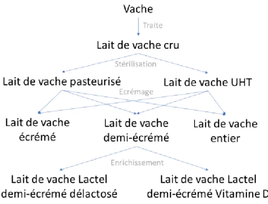 Figure 1. Exemples des différents laits de vache selon les procédés industriels 