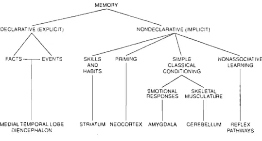Figure 1.1  A taxonomy ofmemory and associated brain structures adapted from Squire &amp; Knowlton (1995)