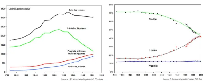 Figure 1. Evolution du niveau des disponibilités alimentaires en France sur longue période 