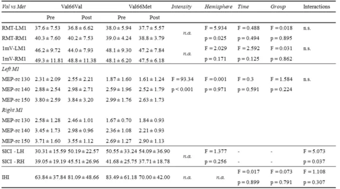 Table 3. Val66Val and Val66Met TMS measures 