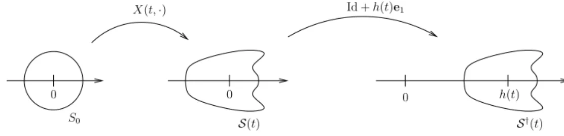 Figure 5: The deformation X and the translation he 1 of the swimmer.