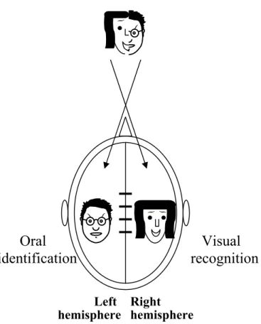 Figure 7: Illustration of chimerical figures that can be used to test  hemispheric specialization in face recognition