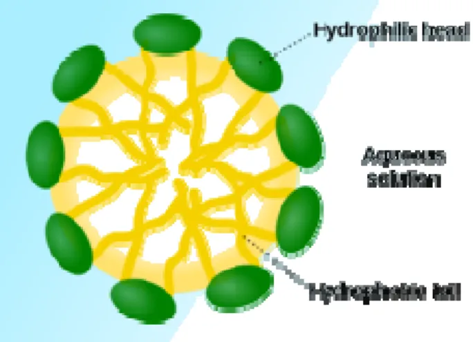 Figure 1.7: Representation of micelle formation at CMC (Wikipedia) 