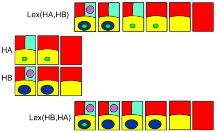 Figure 6: Two hierarchies HA and HB and their derived lexicographic combi- combi-nations.