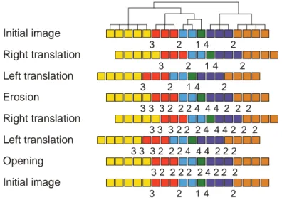 Figure 11: Erosion and opening by a segment of 3 pixels: intermediate steps