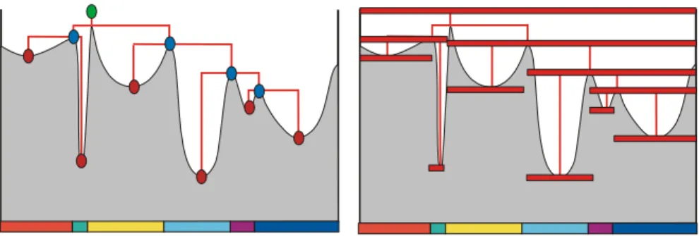 Figure 1: Left : the mintree of a topographic surface. The horizontal mosaic image at the bottom represents the extension of the catchment basins of the relief.