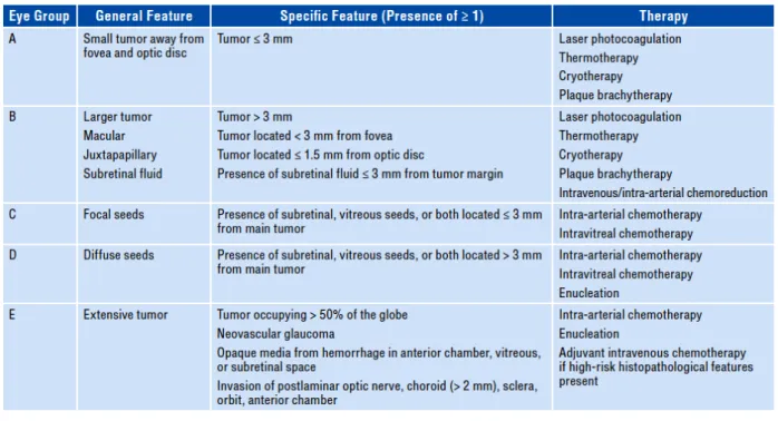 Figure 3. –  Retinoblastoma classification according to the IIRC and recommended therapeutic  interventions (27)