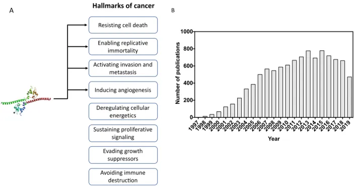 Figure 5. –   Survivin and cancer research. (A) Arrows indicate scientific evidence of survivin and  the hallmarks of cancer