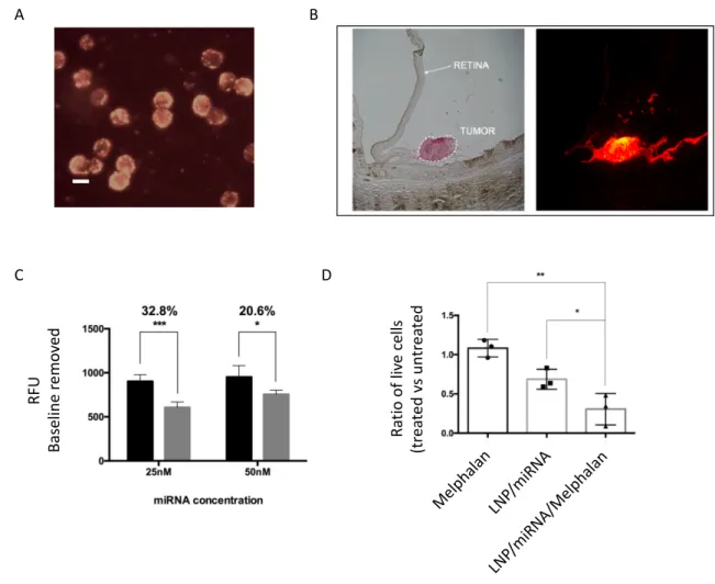 Figure 16. –   Switchable  LNP  as  a  transfection  vector  for  retinoblastoma  cells  (Y79)