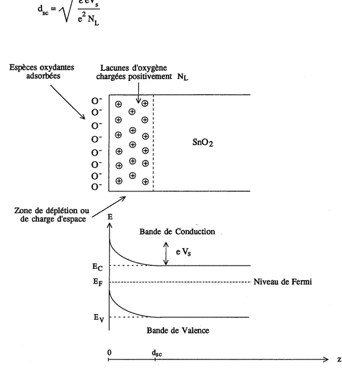 Figure  1 - 6 : Chimisorption d'oxygène  à  la surface de Sn02 : zone de déplétion dans un diagramme de bande' 