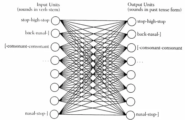 Figure 1.1. Le modèle connexionniste de Rumelhart et McClelland (1986).  