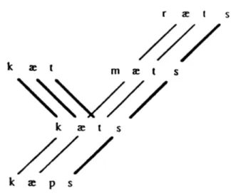 Figure 1.2. Le modèle de connexions lexicales de Bybee (1995).  