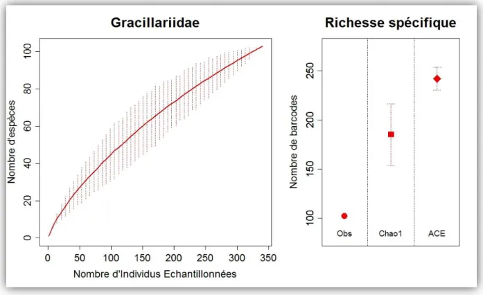 Figure 8 : Ci-dessous : Courbes de raréfaction et estimations du nombre total d'espèces pour la  famille  des  Gracillariidae