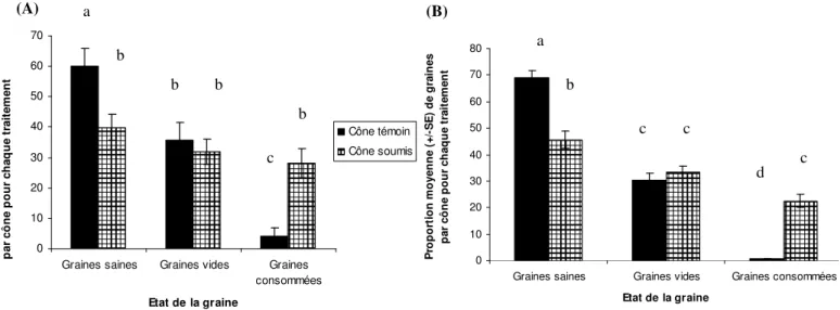 Figure 8 : Comparaison de l’effet de prédation de L. occidentalis sur la proportion de graines de Pinus nigra  (A) et Pinus sylvestris (B)