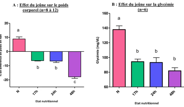 Figure 7 : Caractérisation  physiologique  et  comportementale  de  l’état  de  jeûne  chez   les rats âgés de 5 semaines
