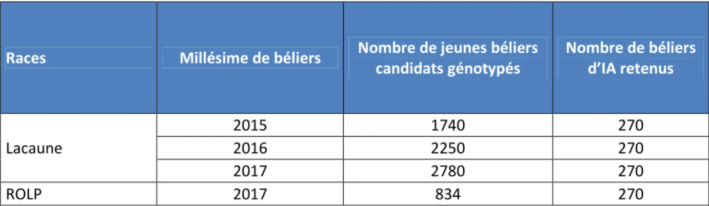 Tableau 7 : Effectif des béliers candidats à la sélection puis retenus pour diffusion 