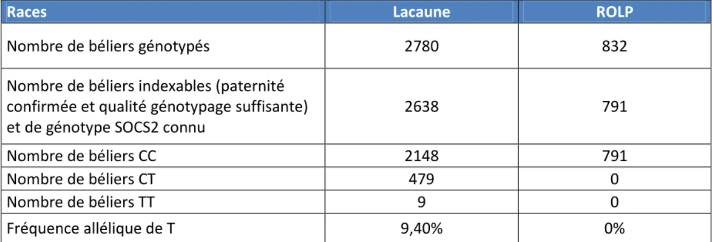Tableau 9 : Fréquence des génotypes pour le gène SOCS2 dans les races Lacaune et ROLP pour les  mâles du millésime 2017 