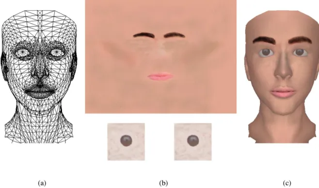Figure 2.5 : Les paramètres FDPs regroupant (a) la description de forme par maillage  3D et (b) l’information de texture (ici la peau et les yeux) pour générer le modèle de 