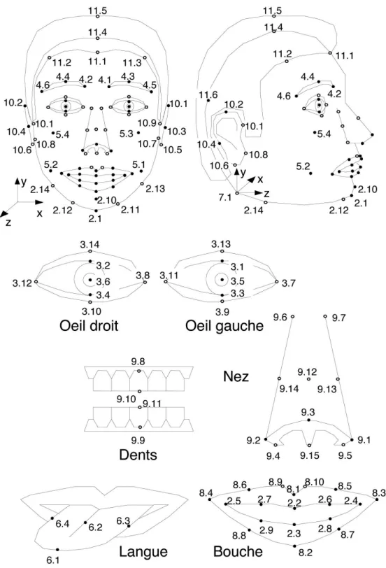 Figure 2.6 : Points caractéristiques des FDPs tels que définis dans la norme MPEG-4  [ISO99] 