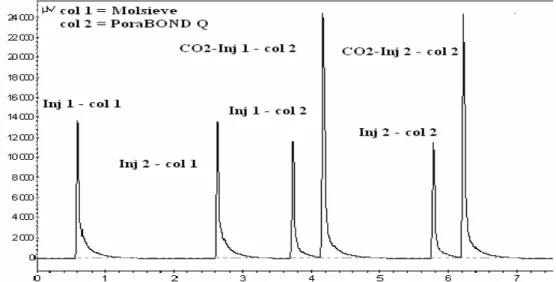 Figure II.8. Chromatogramme d’un échantillon du mélange CO 2  - CH4 analysé deux fois 