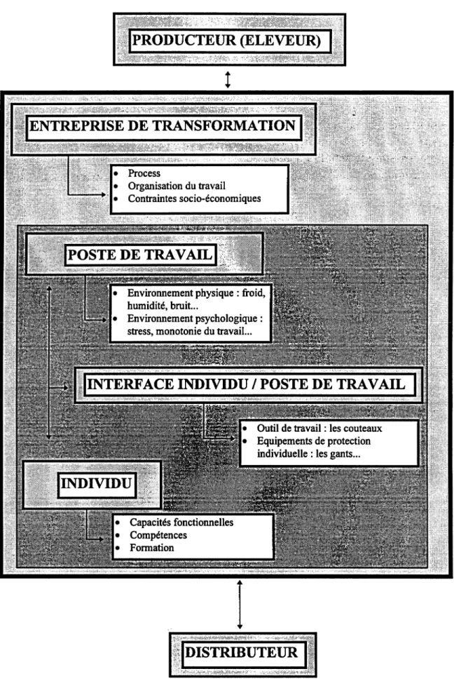 Figure n°9 : Représentation des niveaux de prévention dans la filière viande 