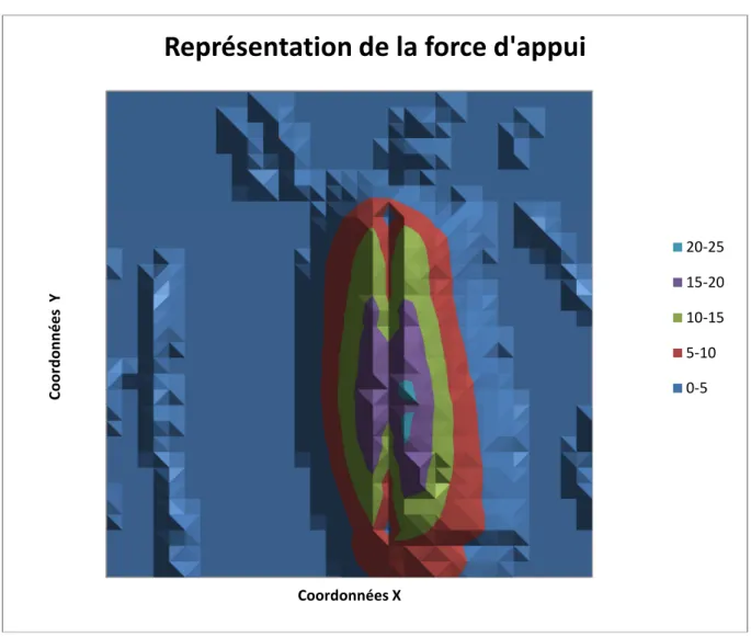 Figure 12 : exemple de représentation de la répartition de la force d’appui. 