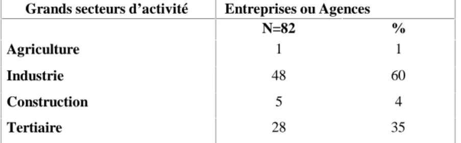 Tableau 6 - Répartition par grands secteurs d’activité des entreprises ou agences qui ont répondu à  l’enquête 