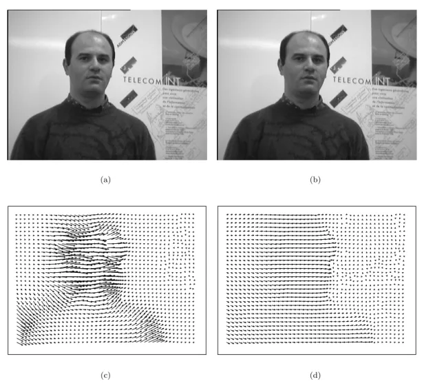 Figure 2.3 : Estimation du champ de vitesses par l’algorithme de Horn et Schunk en version multirésolution : (a) et (b) images de test (translation de 10 pixels) ; (c) flot optique erroné, obtenu sans prendre en compte les eﬀets de repliement spectral liés