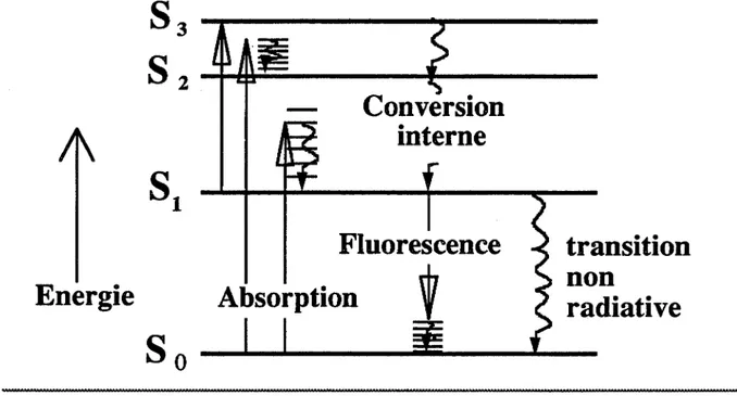 Diagramme  de  Jablonski  simplifié 