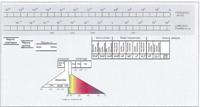 Figure  2 . 1 . Spectre électromagnétique (d'après [94]) 