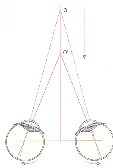 Figure 3.9. Convergence des yeux à l'approche de la cible 