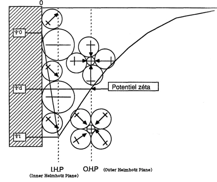 Figure  1  :  Représentation schématique d'une distribution de potentiel  à  une interface où  se localisent des ions positifs des ions négatifs et des molécules polaires
