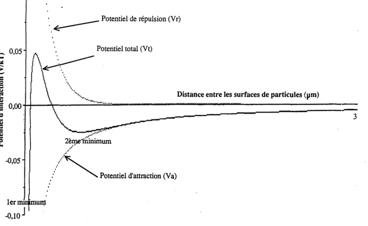 Figure  2  :  Représentation schématique du potentiel d'interaction entre  deux  particules, en  fonction de la distance séparant leur surface 