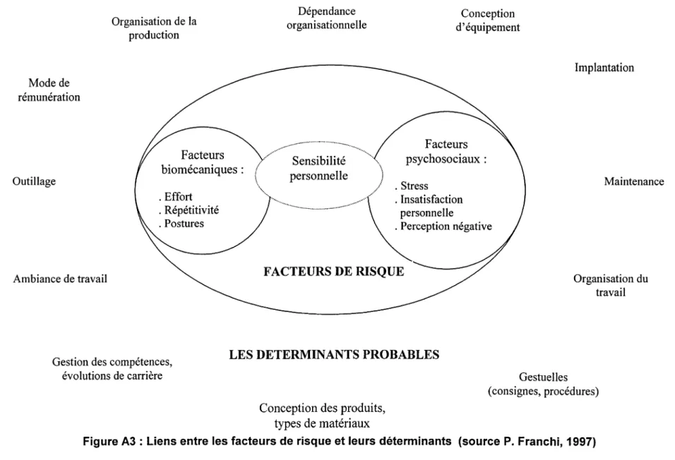 Figure A3 : Liens entre les facteurs de risque et leurs déterminants (source P. Franchi, 1997) 