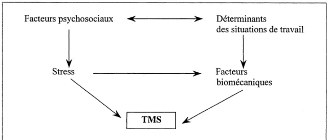 Figure A1 - Relation entre facteurs de risque psychosociaux et biomécaniques  et le risque de TMS (hypothèse) 