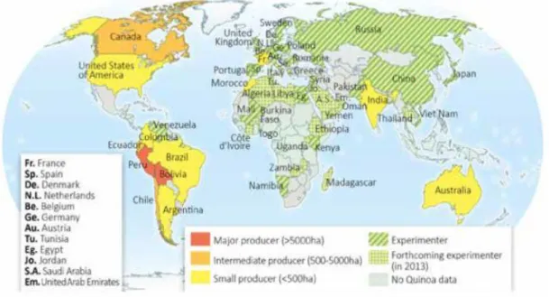 Figure 01: Répartition géographique de quinoa (FAO &amp; CIRAD, 2015). 