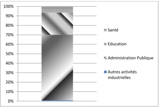 Figure 2.1 : Répartition des dépenses publiques hors transferts et dons en 2007 