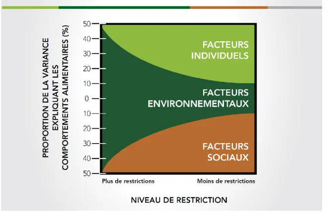Figure  2.  Relations  entre  les  facteurs  individuels,  environnementaux  et  sociaux  (Lytle,  2009; tiré de Santé Canada, 2013)  