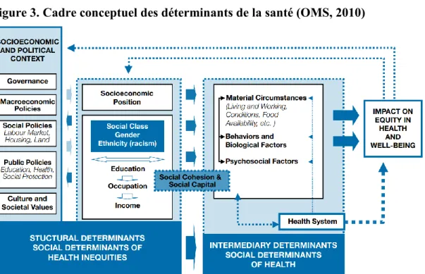 Figure 3. Cadre conceptuel des déterminants de la santé (OMS, 2010) 