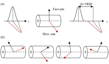 Fig. 1.12: (a) DGD over a fiber section with constant birefringence, and (b) schematic representation of  a real fiber as a concatenation of infinitesimal birefringent sections randomly coupled