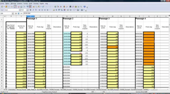 Illustration   4   : exemple de feuille Excel "remplissage des poids"