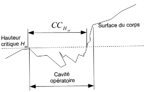 Figure 6 – Cas o` u la cavit´ e est inclin´ ee. L’algorithme risque de sous-estimer la taille de la cavit´ e.