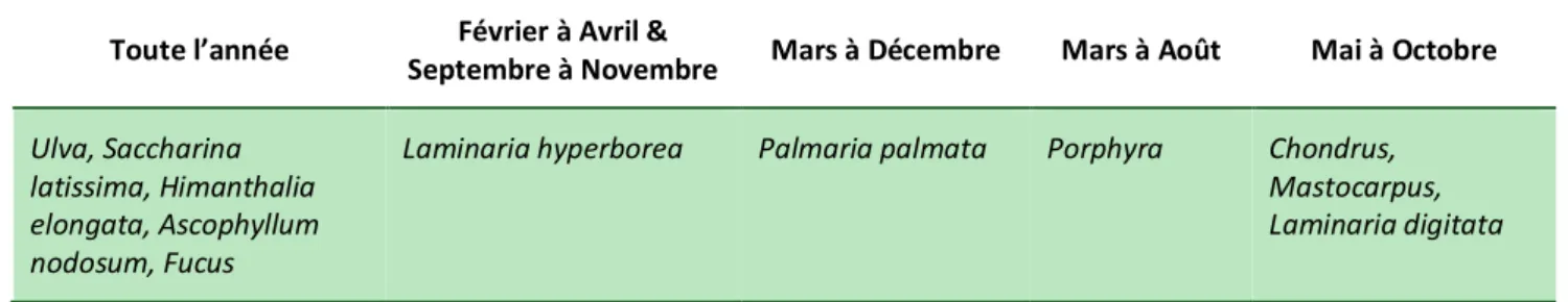 Tableau 5 – Périodes de récolte des principales espèces de macro-algues en France    2.2.1.2  La culture des macro-algues 