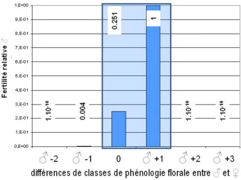 Figure 5 : Relation entre les fertilités relatives mâles estimées par le modèle et le synchronisme  des floraisons mâles et femelles sur le site de St Ay