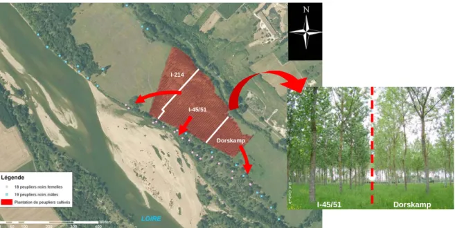 Figure 6 : Photo aérienne du site expérimental de Bonny-sur-Loire (Loiret). 