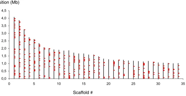 Figure 7: Distribution des loci microsatellites sur les 34 premiers scaffolds de la séquence du génome  de Mlp