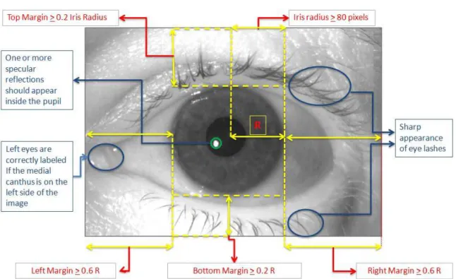 Figure 1-4: An example of a correct iris acquisition, with some of its desirable properties marked up  [24]
